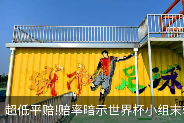 超低平赔!赔率暗示世界杯小组末轮一场默契球?